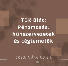 TDK ülés: Pénzmosás, bűnszervezetek és cégtemetők (2023.03.24)